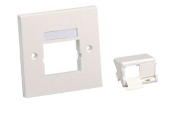 CFPUKS2SAWY Zásuvka 86x86mm, pro 2 moduly MINI-COM, šikmé vstupy, prachové krytky, bílá CFPUKS2SAWY Zásuvka 86x86mm, pro 2 moduly MINI-COM, šikmé vstupy, prachové krytky, bílá