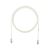 UTP28X5MGY Propojovací kabel RJ45/RJ45, U/UTP, kat. 6A, 5m, šedý, AWG28 UTP28X5MGY Propojovací kabel RJ45/RJ45, U/UTP, kat. 6A, 5m, šedý, AWG28